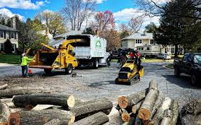 Best Emergency Tree Removal  in Yardley, PA